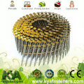 15 degrés Hot DIP Galvanized Coil Nails